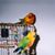 Rita Van Sickler's profile image