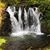 Vickie Burrows Wallace's profile image