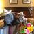 Tara Lujan Reyes's profile image
