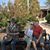 Wendy Boggs Ferlisi's profile image