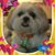Linda Gaskin's profile image