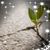 Heather Keefe Cella's profile image