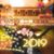 Renee M Cutrell's profile image