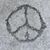 CoCo Colleen McNeal Collins's profile image