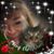 Brenda Scott's profile image