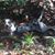Clayton VanLandingham's profile image