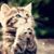 Carol Johnson's profile image