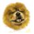 Dai-Hune Lin's profile image