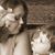Kimberly Gardner's profile image