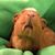 Bethany Lightfoot Daly's profile image