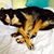 Kimberly Etta Tubbs's profile image