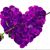 Sandra J. Sandoval's profile image