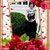 Alzira Pereira's profile image