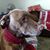 Lyn Russell Kilgore's profile image