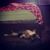 Eric Torres Rosas's profile image