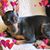 Debbie Zacher's profile image