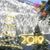 Cynthia Kent Chapman's profile image