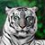 Barbara Ledgerwood's profile image