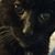 Katrina Schedlin Grbesic's profile image