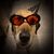 Ivory Carr's profile image