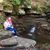 Roberta Muldoon Thyne's profile image