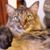 RaeDeane Garcia's profile image