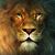 Raul Arrocha's profile image