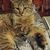 Misty Bair's profile image