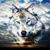 Michelle Mccracken's profile image