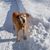 Barb Young's profile image