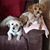 Wanita Gayle Grice's profile image
