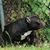 Gary Marsham's profile image