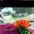 Tracie M Foster's profile image