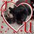 Ginny Lee's profile image