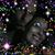 Elicia Ebbert's profile image