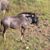 Mike Nicholson's profile image