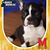 Ielene Caplan's profile image