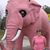 Christine Copenhaver's profile image