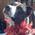 Mindy Woodward's profile image