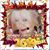 Teresa A Costa's profile image