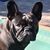 Mary Devine's profile image