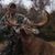 David Herron's profile image