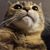 Valerie Martinez Garcia's profile image
