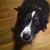 Leanne Tucker's profile image