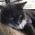 Marianne Vallance's profile image