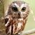 Heather Couturier's profile image