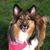 Sheree Weller's profile image