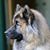 Colleen LaFleche's profile image