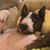 Julie Malmstrom's profile image