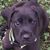 Sonda Buening's profile image